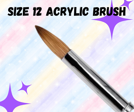 Size 12 Acrylic Brush